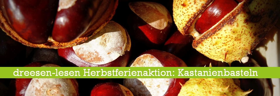 kastanienbasteln1_960.jpg